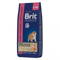 Сухой корм Brit Premium Dog Puppy and Junior Large and Giant курицей для щенков крупных и гигантских пород