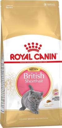 ���� Royal Canin Kitten British Shorthair, ��� ����� ������ ���������� ��������������� � �������� �� 4 �� 12 �������