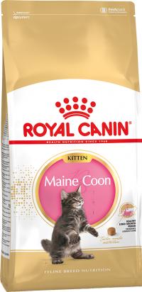 ���� Royal Canin ��� ����� ������ ����-���, Kitten Maine Coon