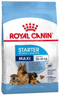 ���� Royal Canin ��� ����� MAXI STARTER