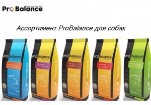 ProBalance