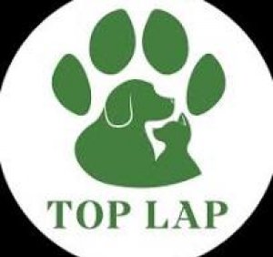 Top Lap